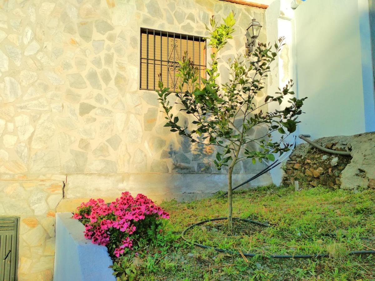 Villa Las Encinas Costa Del Sol 토록스 외부 사진