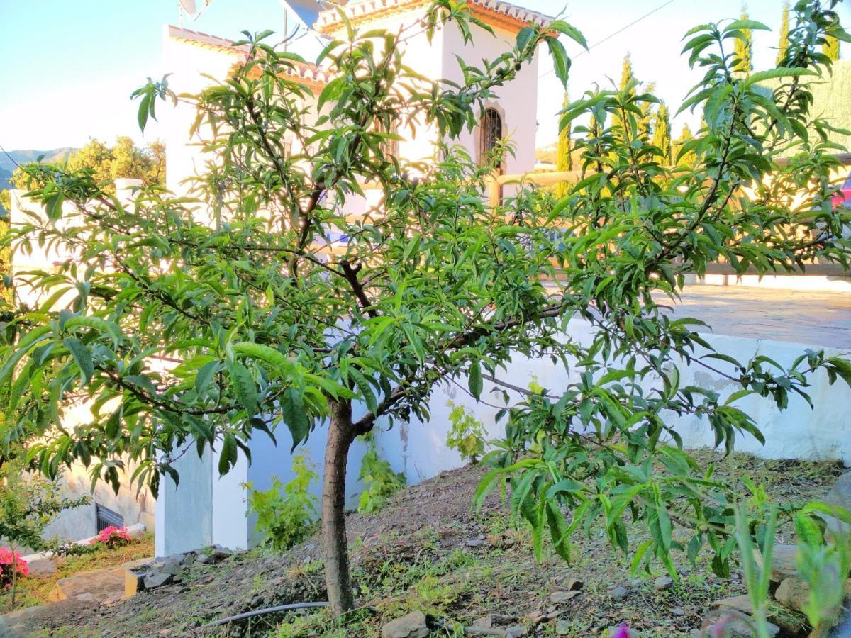Villa Las Encinas Costa Del Sol 토록스 외부 사진