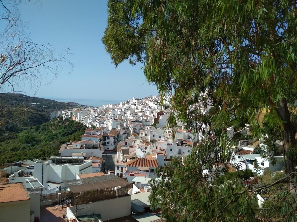 Villa Las Encinas Costa Del Sol 토록스 외부 사진