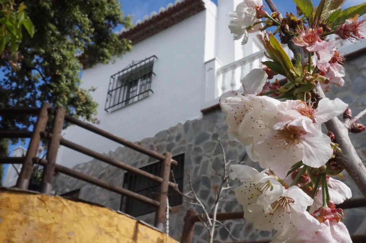 Villa Las Encinas Costa Del Sol 토록스 외부 사진